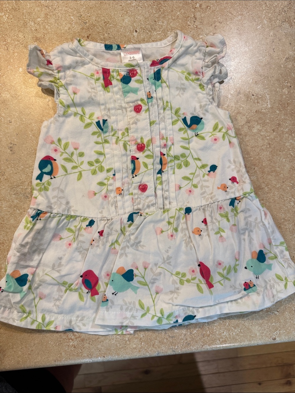 Gymboree White Ruffle Dress with Colorful Bird Print